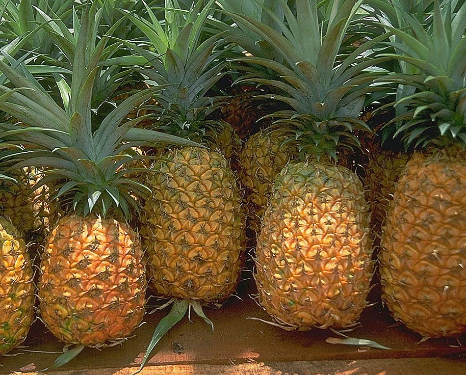 Hurtownia warzyw i owoców "Ananas"
