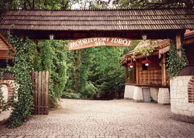 Modrzewiowy Zdrój