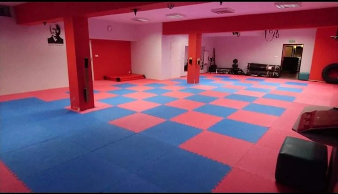 Klub Sportowy "Puławska Akademia Karate Tradycyjnego"Szkoła sztuk walki w Puławach