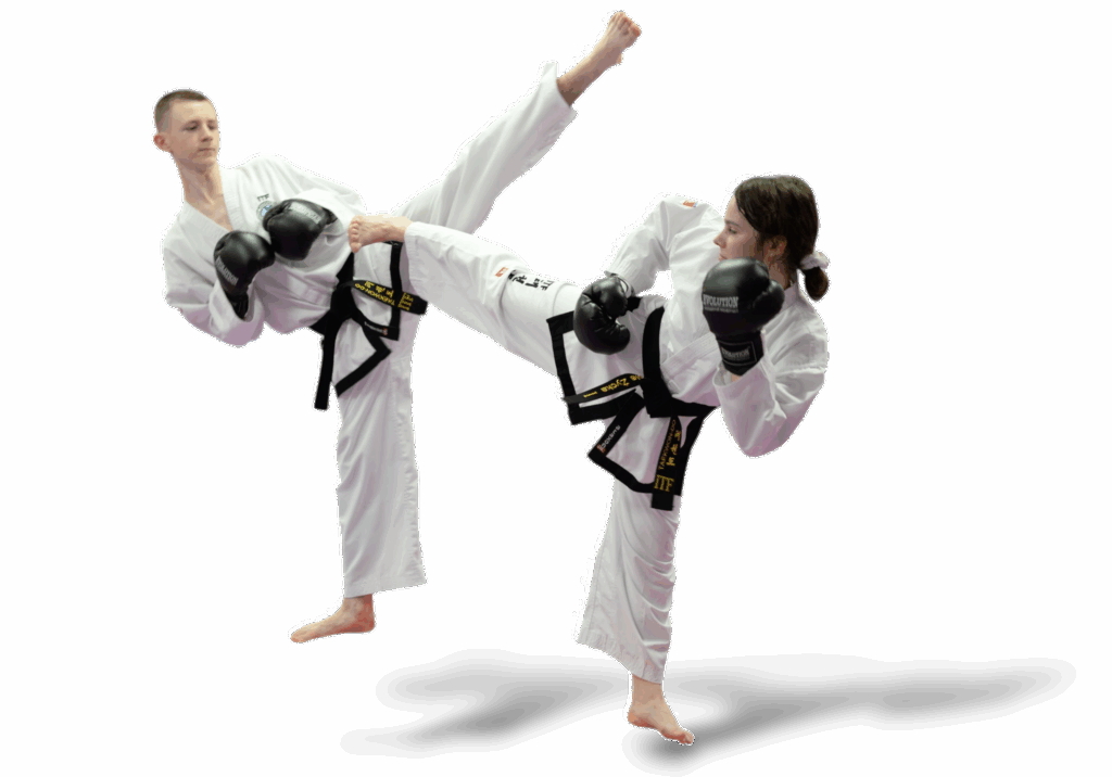 Szkoła sztuk walkiPuławski Klub Taekwon-do ITF